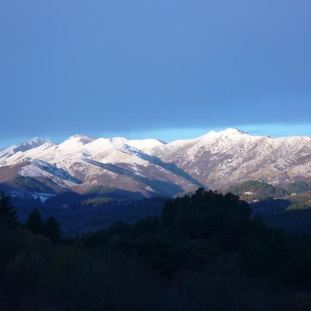 L'Evidence Bed & Breakfast Prades  ภายนอก รูปภาพ